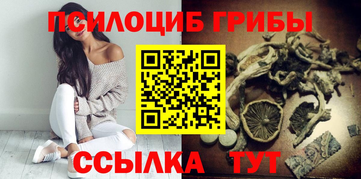 Камень-на-Оби  Галлюциногенные грибы Psilocybe  Вход с VPN 